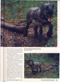 Horse logging articles